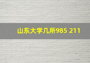 山东大学几所985 211